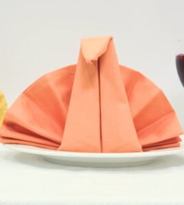 Folded Tissue Napkins