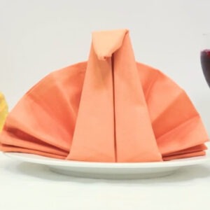 Folded Tissue Napkins